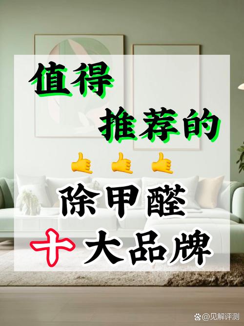 本地服务类除甲醛公司十大品牌推荐排行榜 2024年技术服务深度解析